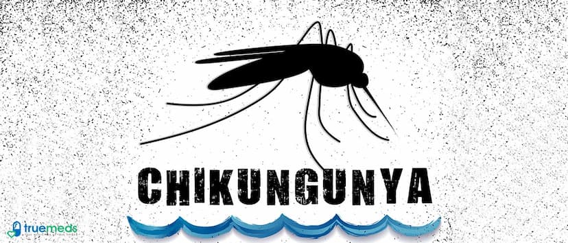 Chikungunya Diet: 12 Amazing Recovery Foods